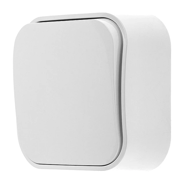 Выключатель Leiden Electric Bailly 806001 1 клавиша белый Выключатель Leiden Electric Bailly 806001 1 клавиша белый
